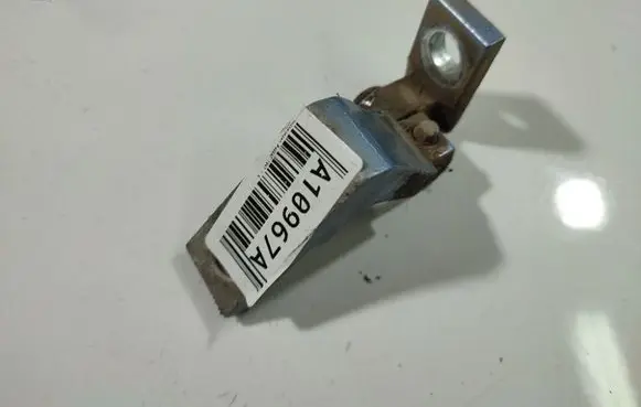 Volkswagen PASSAT B5 Rear door lower hinge
