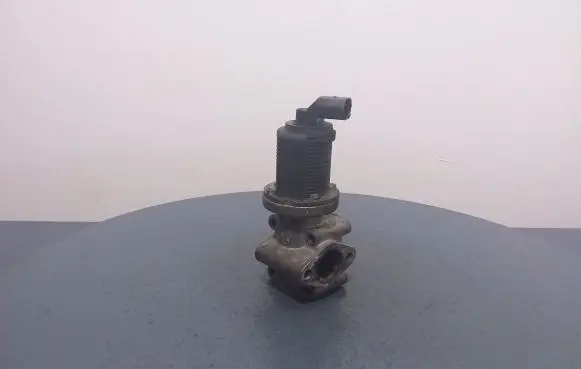 Opel Vectra C EGR valve 55215031
