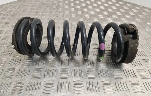 Rear coil spring