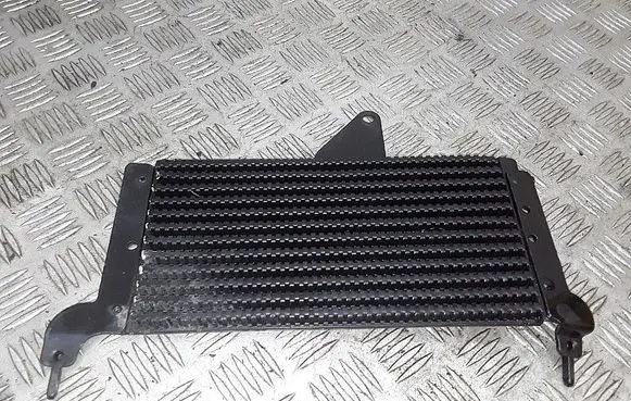 Peugeot 207 Fuel cooler (radiator) 964769408a