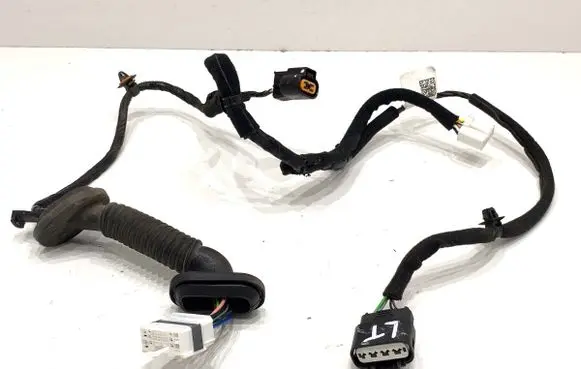Hyundai i20 (BC3 BI3) Rear door wiring loom 91620Q0240