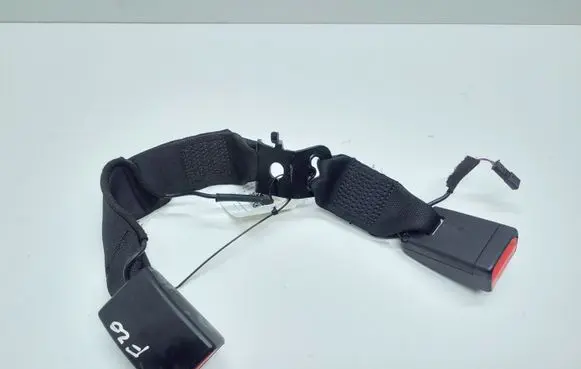 BMW 1 F20 F21 Middle seatbelt buckle (rear) 7355471