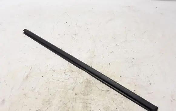 Renault Kangoo III Front door glass trim molding 808219946R