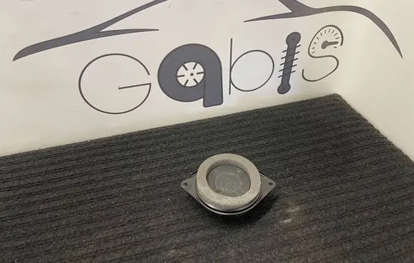 Front door high frequency speaker