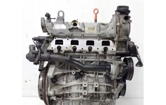 Volkswagen Golf V Engine BLN