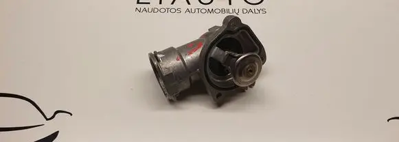 Thermostat/thermostat housing