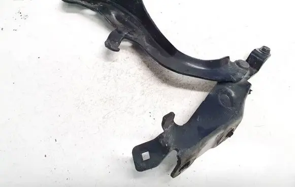 Infiniti QX50 (J50) Engine bonnet/hood hinges