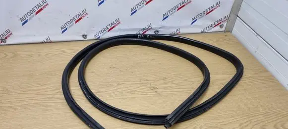 BMW X1 E84 Front door rubber seal 51722993435