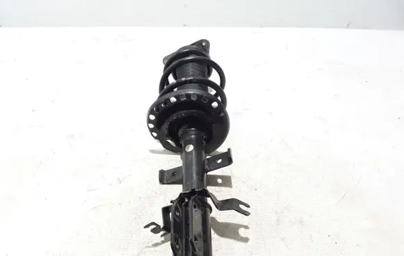 Renault Zoe Front shock absorber/damper 543028406R