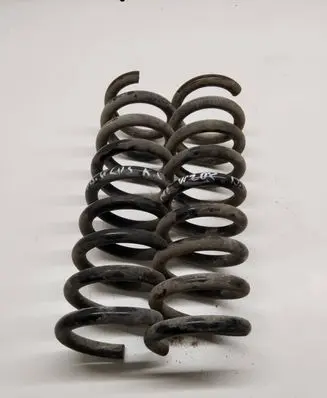 Rear coil spring