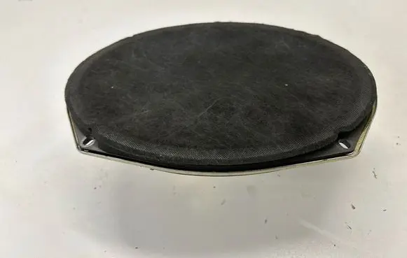 Dodge Charger Front door speaker 05091019AB EASA23D22A4 453018
