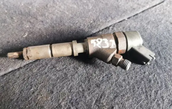 Peugeot 406 Fuel injector 0445110008 9635196580