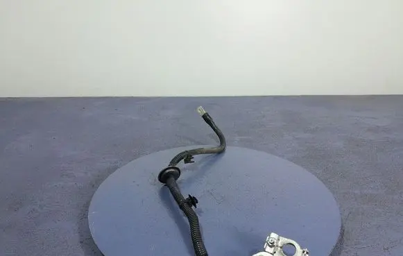 Renault Arkana Other wiring loom 