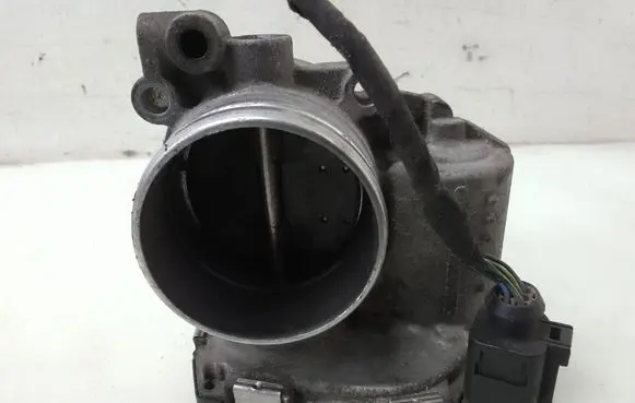 Volkswagen PASSAT B6 Throttle valve 06F133062B
