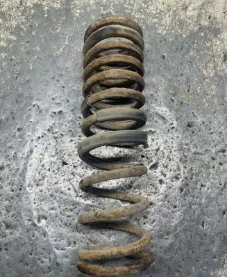 Ford Focus Rear coil spring