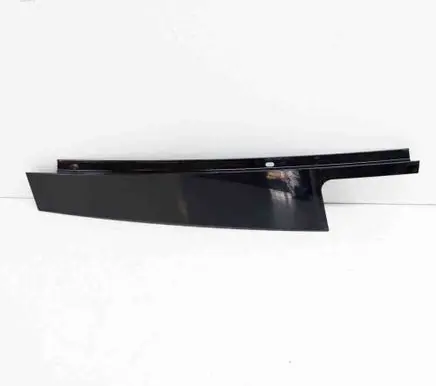 Rear door glass trim molding