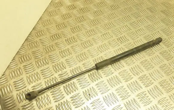Tailgate strut