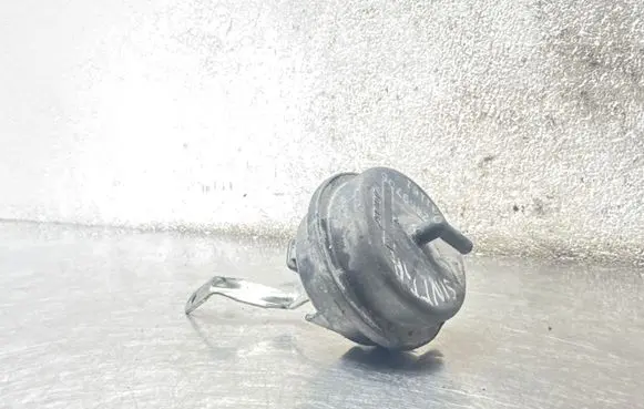 Opel Sintra Vacuum valve 52469706 31161