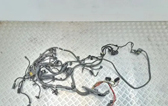 BMW 7 F01 F02 F03 F04 Engine installation wiring loom
