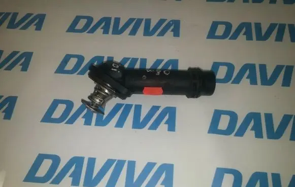 Thermostat/thermostat housing