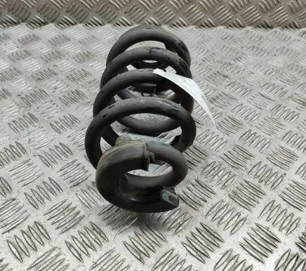 Volkswagen ID.4 Rear coil spring 1EA511103AA