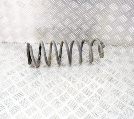 Volkswagen PASSAT B6 Rear coil spring