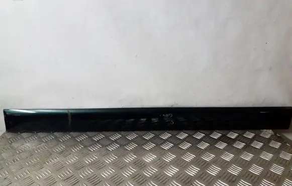Front door trim (molding)