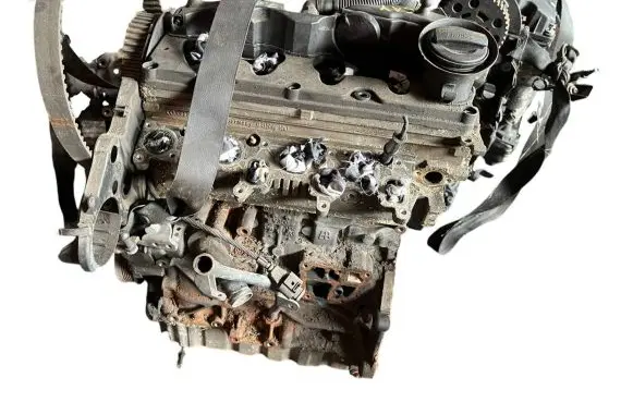 Volkswagen Golf VI Engine cay