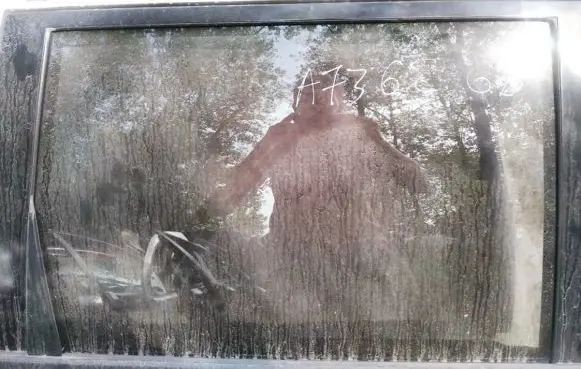 Nissan X-Trail T30 Rear door window glass