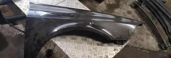 Renault Laguna II Fender