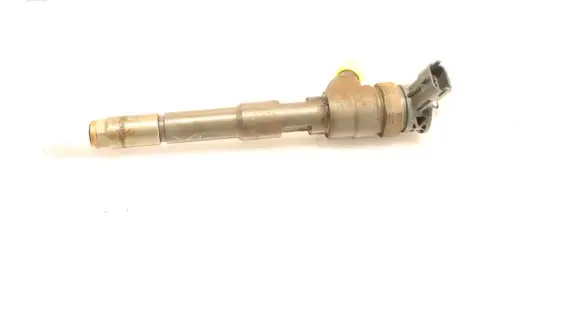 Dacia Dokker Fuel injector 0445110485