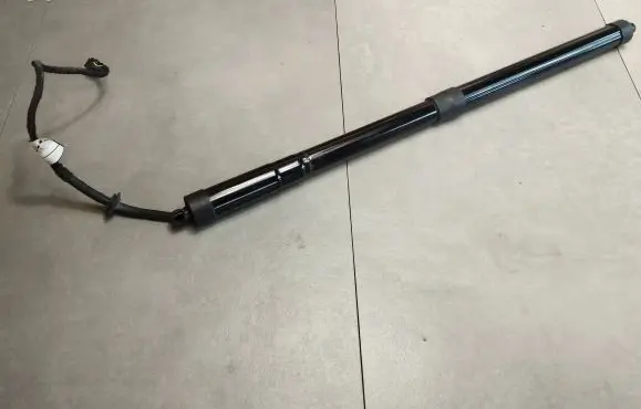 Tailgate strut