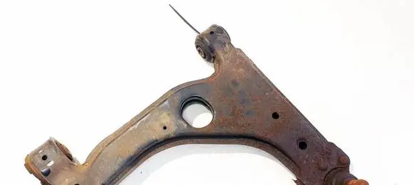 Front lower control arm/wishbone