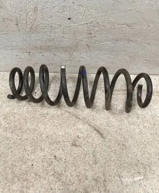Rear coil spring