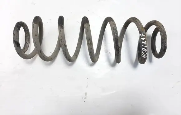 Volkswagen Golf V Rear coil spring 