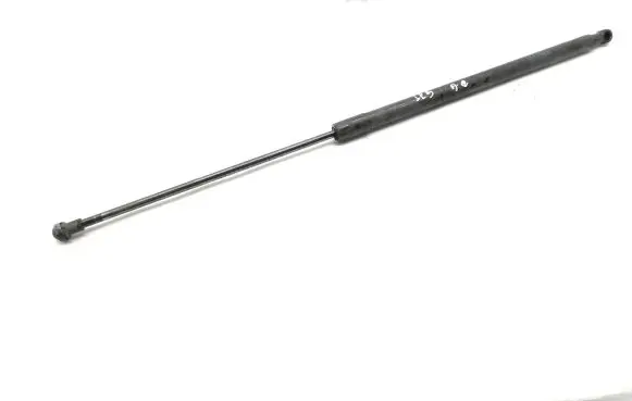 Tailgate/trunk strut/damper