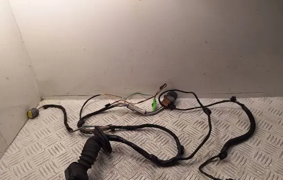 Renault Espace - Grand espace IV Front door wiring loom 7701060634 8200517571
