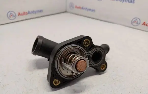 Thermostat/thermostat housing