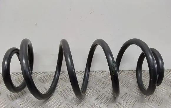 Front coil spring