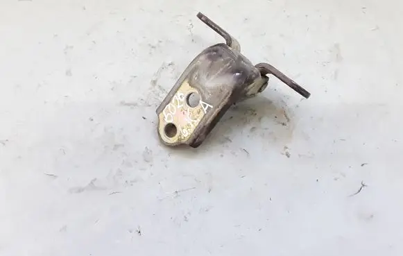 Hyundai Sonata Rear door lower hinge NOCODE