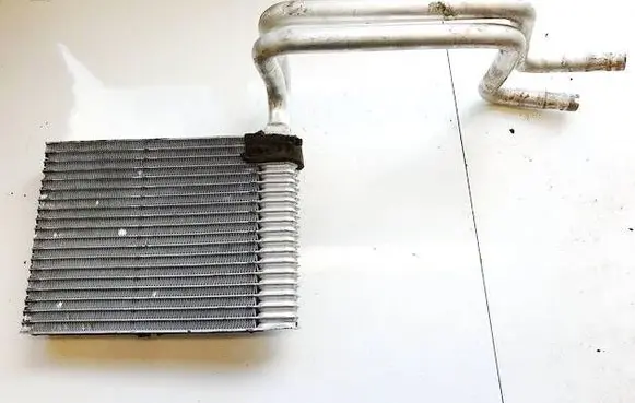 Ford Grand C-MAX Heater blower radiator