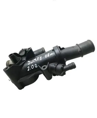 Thermostat/thermostat housing