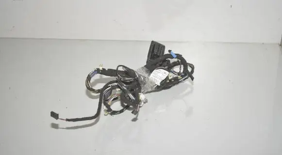 Front door wiring loom