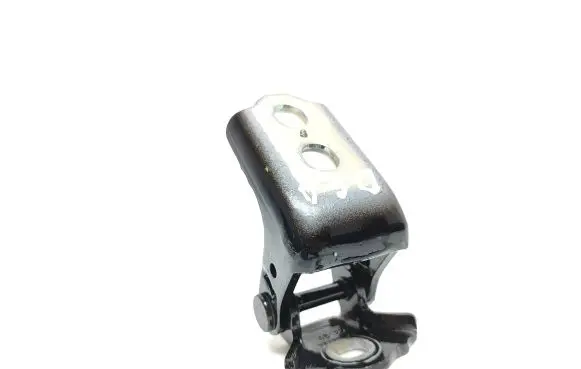 Renault Clio V Rear door lower hinge