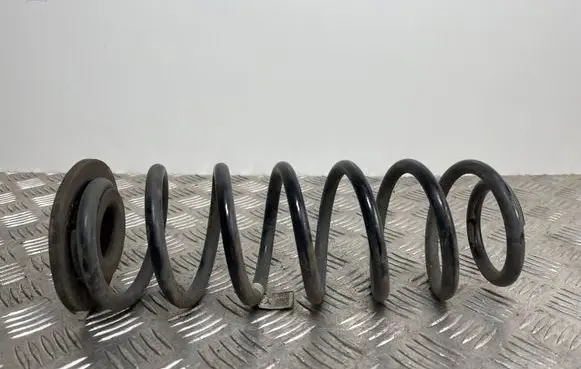 Hyundai Kona I Rear coil spring