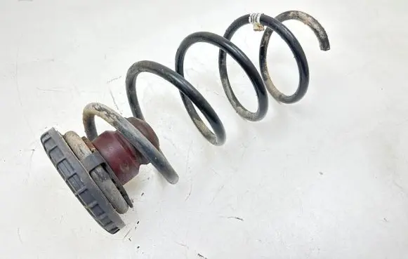 Front coil spring