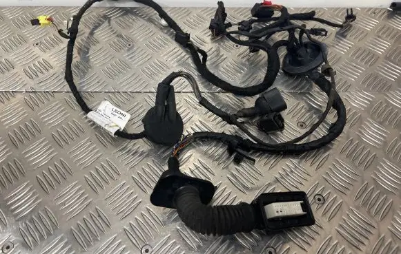 Audi A6 C7 Front door wiring loom 4G5971029CK