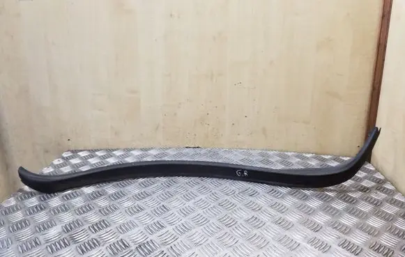 Other rear door trim element