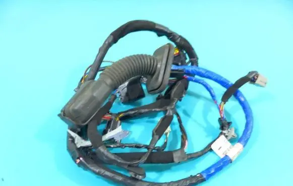 Front door wiring loom