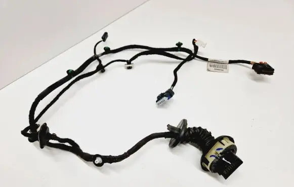 Rear door wiring loom